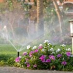 Water-Saving Lawn Care Tips for Drought in Duluth