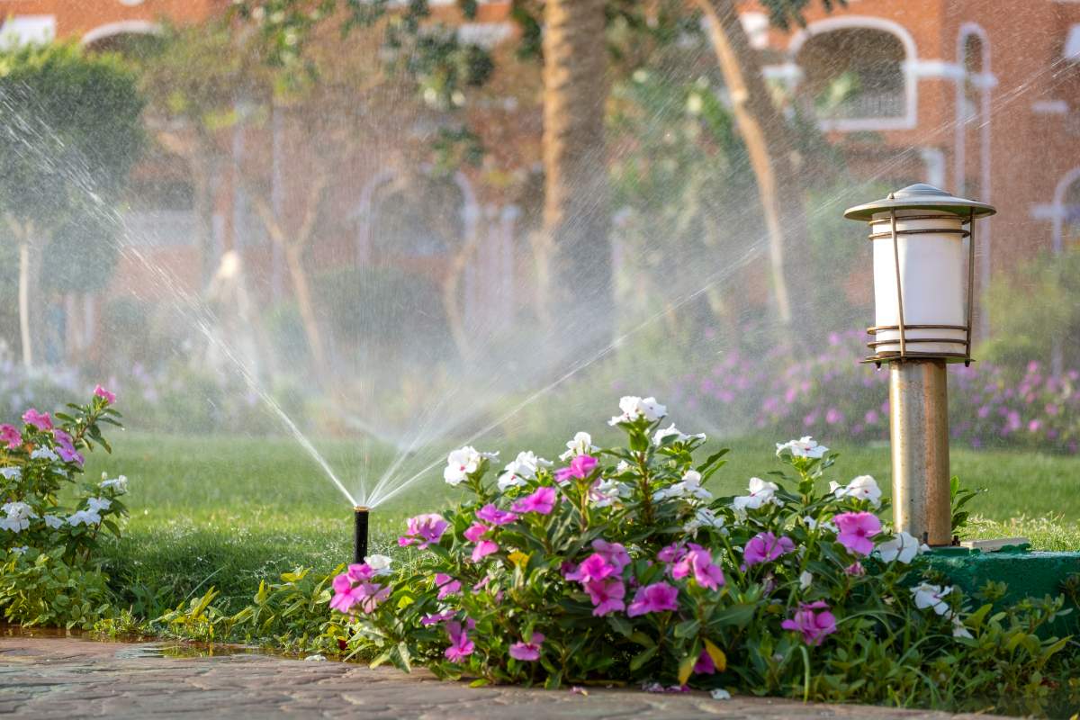 Plastic sprinkler irrigating flower bed on grass lawn with water in summer garden. Watering green vegetation during dry season for maintaining it fresh.