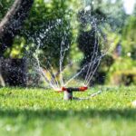 When to Water Your Lawn in Panama City