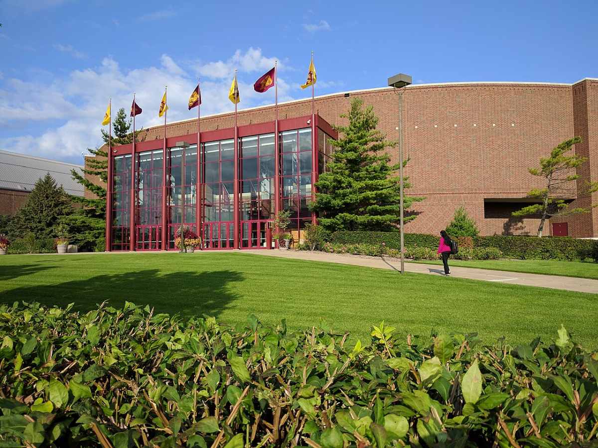 Mariucci Arena lawn and bushes