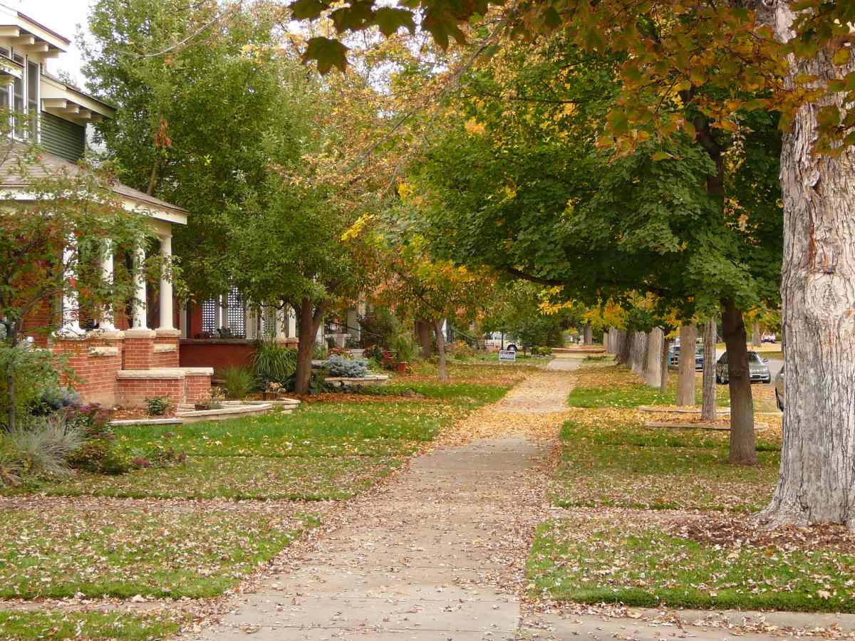 On Mountain Ave, Fort Collins, Colorado