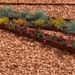 Where to Get Mulch in Boise