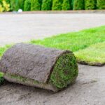 How Much Does Sod Cost in Boise?