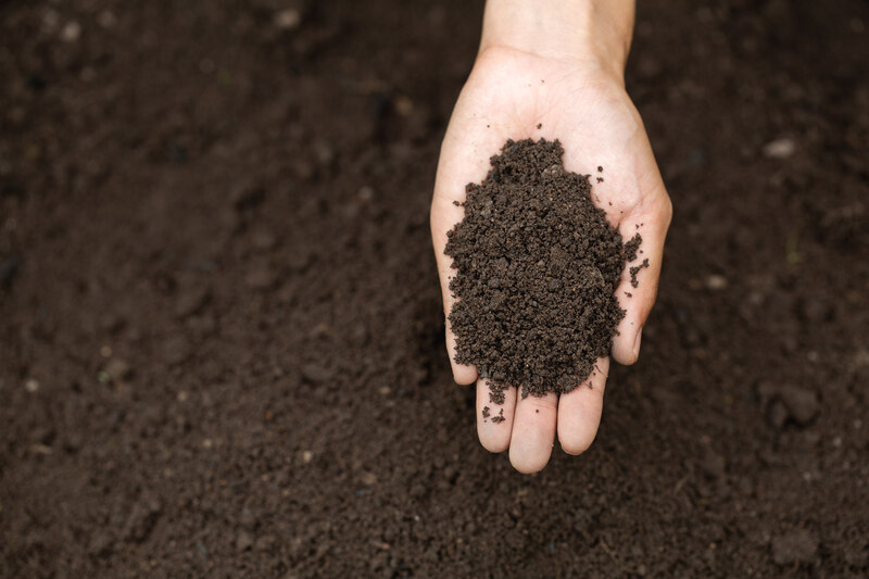 Farmer holding soil in hands close up. Farmer is checking soil.