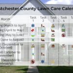 Year-Round Lawn Care Tips for Westchester County