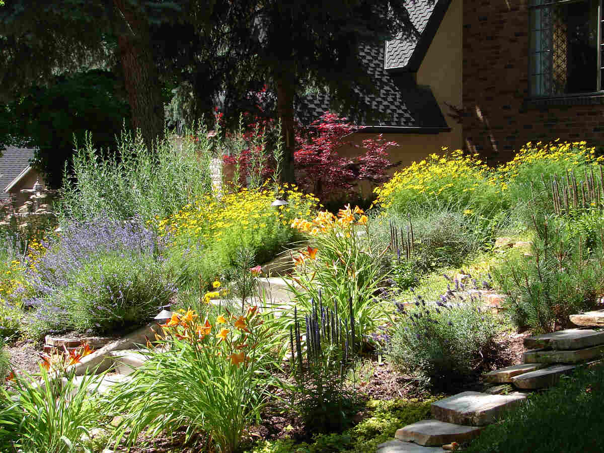 xeriscape garden, flowers and foliage, beautiful in summer