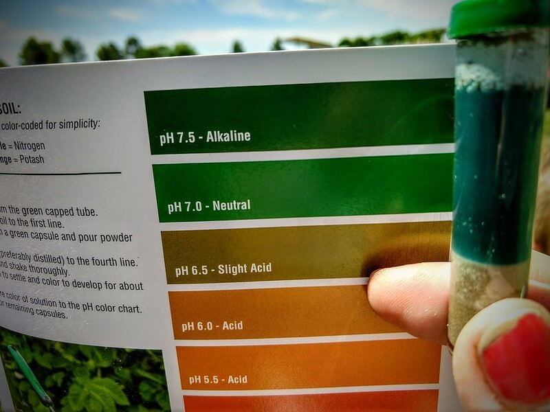 Hand holding Ph level testing kit for soil