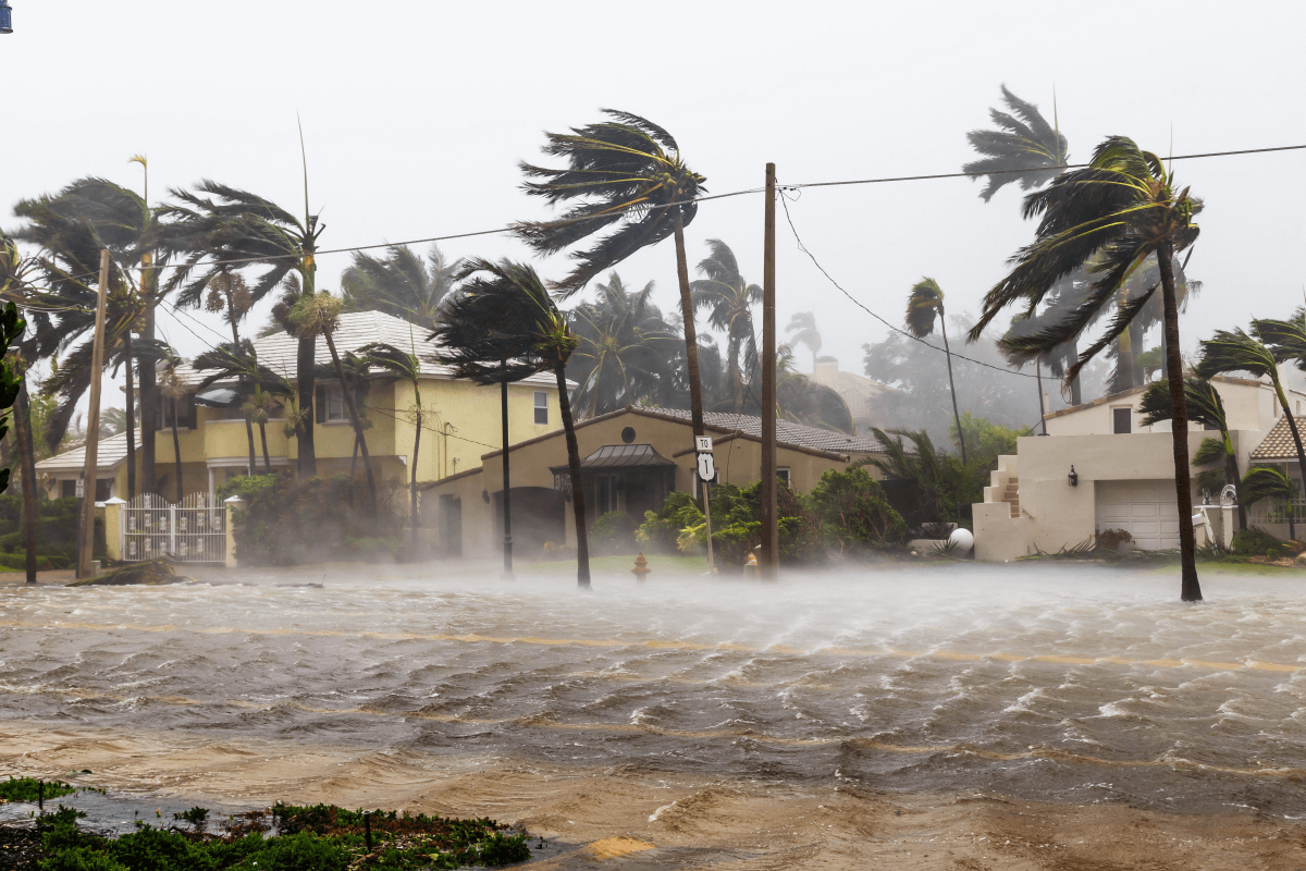Palm trees are struck by heavy winds alongside a flooded residential road