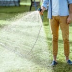 When to Stop Watering Your Lawn