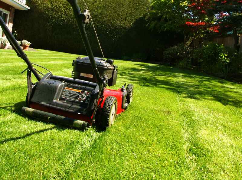 push lawn mower on a green lawn