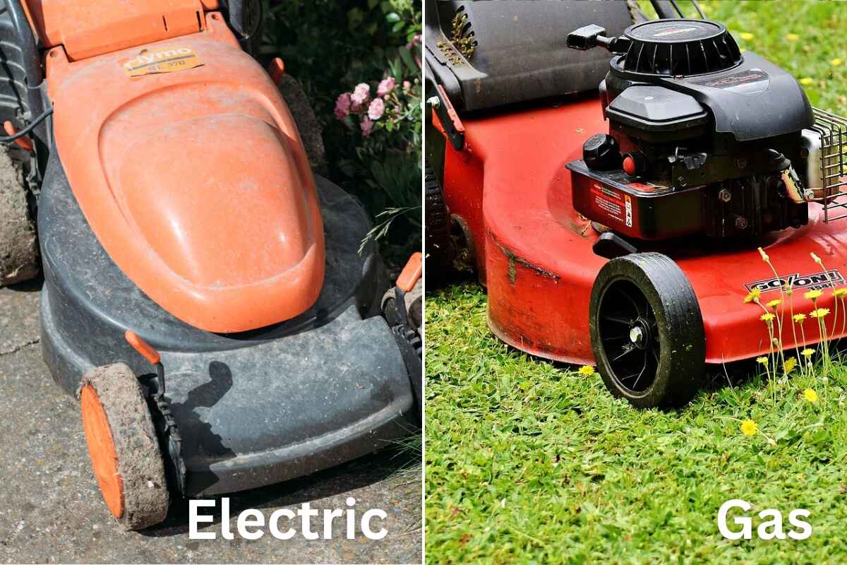 Electric and gas mowers being compared