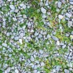 How to Remove Weeds From Gravel (7 Methods)