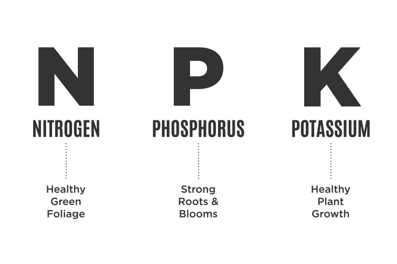 NPK, Nitrogen, Phosphorus, Potassium, Garden Fertilizer Chart, Guide, Infographic Vector Illustration