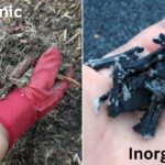 Organic vs. Inorganic Mulch: What’s the Difference?