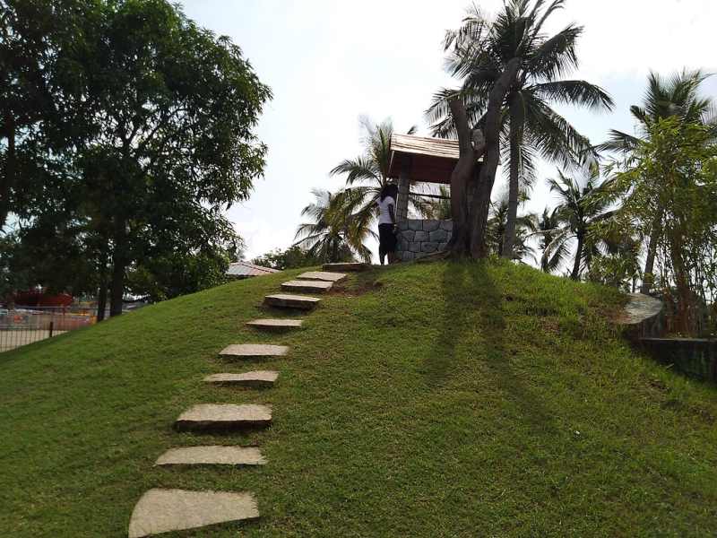 Sloped lawn with stone stairs