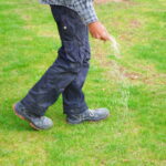 5 Tell-Tale Signs Your Lawn Needs Fertilizer