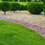 5 Types of Inorganic Mulch: Which Is Best?