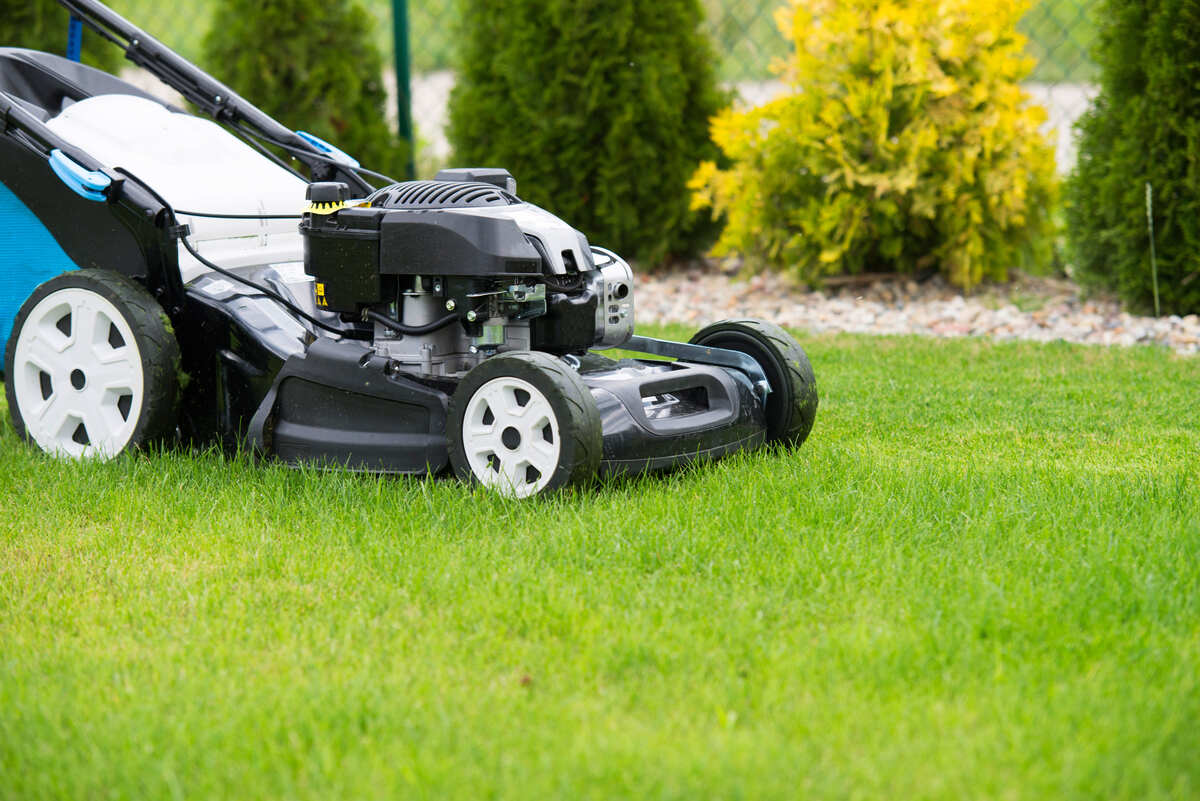 lawn mower in the garden