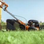Why and When Should You Mow Before Fertilizing Your Lawn?