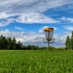 2024’s Best Cities for Disc Golf