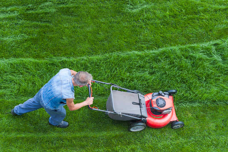 man mowing his lawn with tall grass