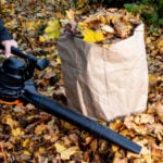 How to Use a Leaf Blower (Step-By-Step Guide)