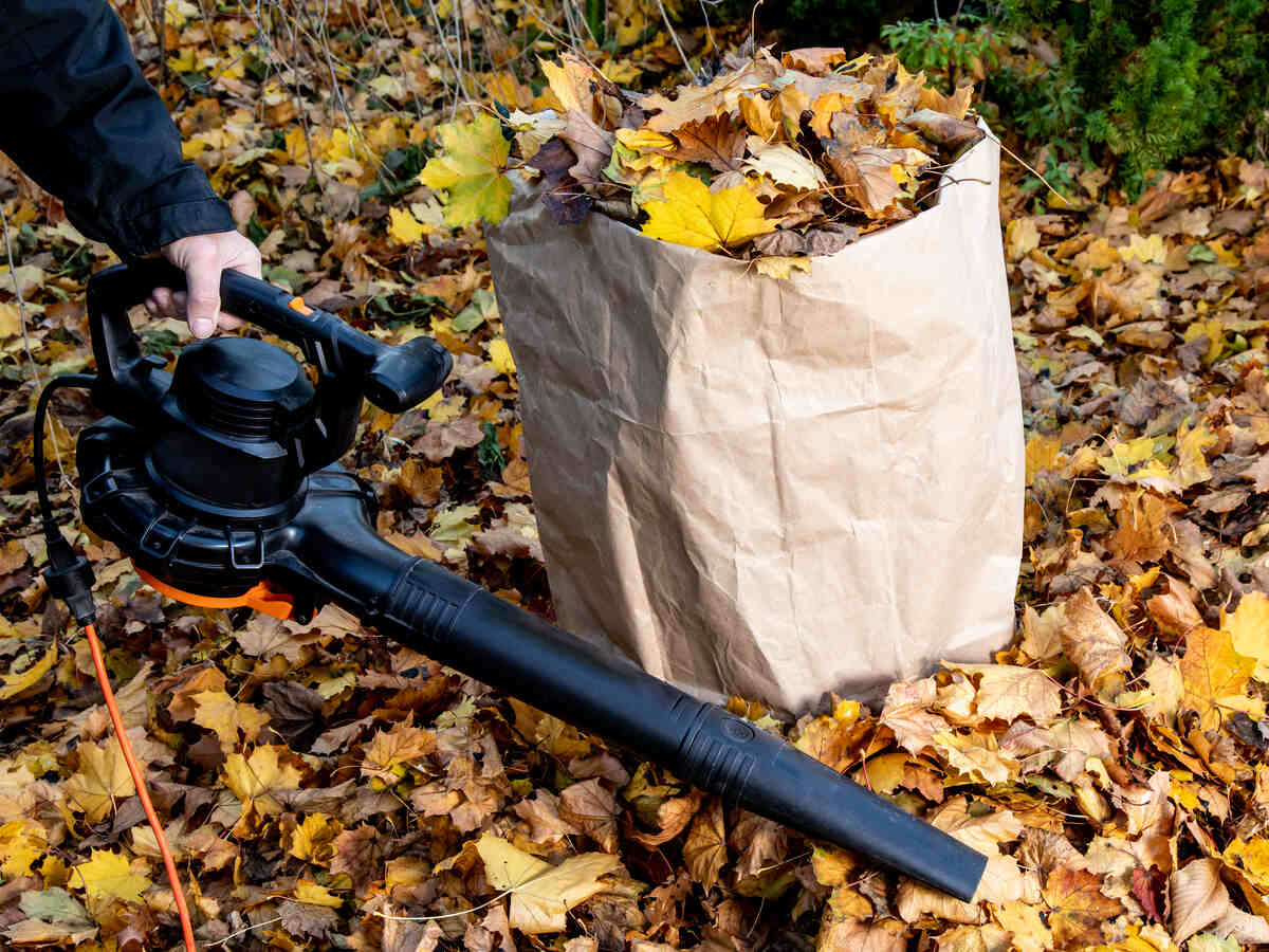 leaf blower with bag full of leaves