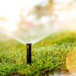 How Much Does a Sprinkler System Cost in 2024?