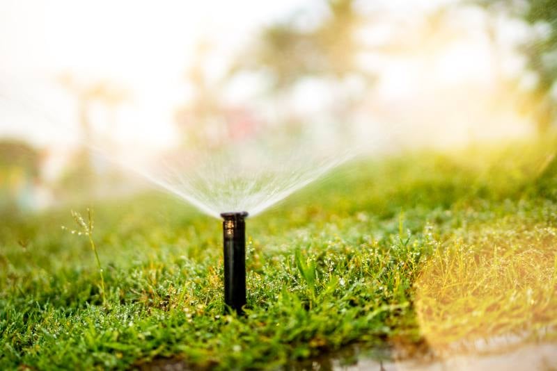 Automatic sprinkler in a lawn