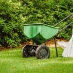 How and When to Fertilize Centipedegrass