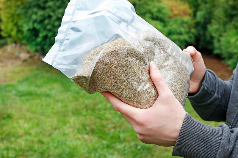 Person holding a bag of grass seed
