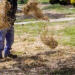 Should You Put Straw Over Grass Seed?