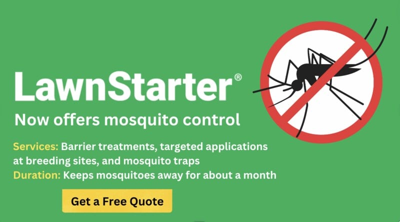 LawnStarter offers Mosquito control, with a silhouette of a mosquito with a red circle and bar across it to signify "no mosquitoes"