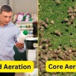 Liquid Aeration vs. Core Aeration: What’s the Difference?