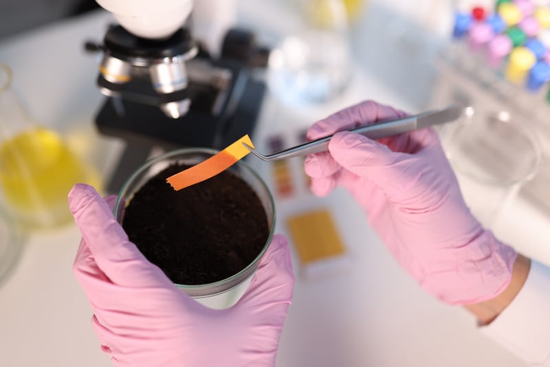 PH test strip and soil study in laboratory closeup