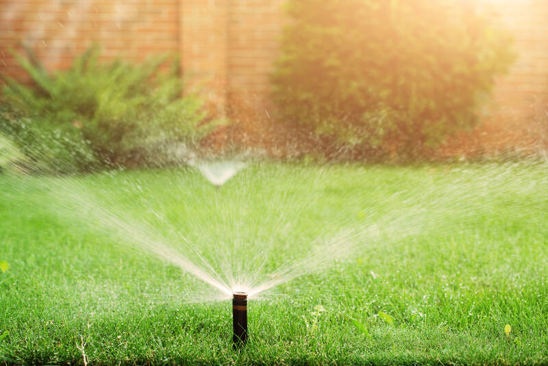 Green grass being watered with automatic sprinkler system on sunny day