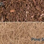 Mulch vs. Pine Straw: Which Should You Use?