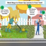 5 Best Ways to Clean Up Leaves in Your Yard