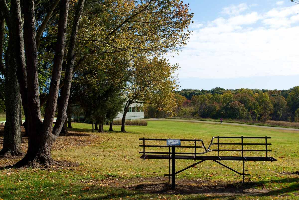 A lawn covered in fall leaves by the NC Museum of Art trail