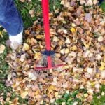 6 Main Benefits of Fall Yard Cleanup