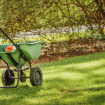 When to Fertilize Your Colorado Lawn