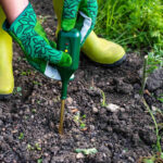 How to Use a Soil Test Kit on the Lawn