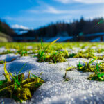 How to Care For Your Lawn in Winter