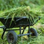 6 Different Nitrogen Sources for the Lawn