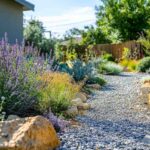 8 Tips for Xeriscaping in Milwaukee