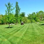 9 Benefits of a Healthy Lawn