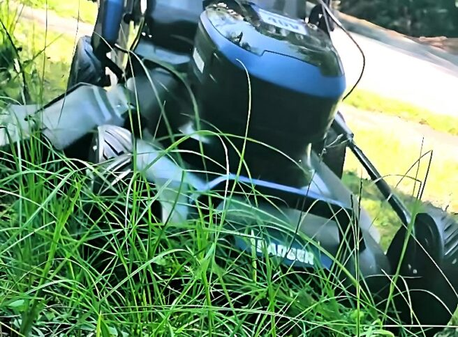 Wild Badger Power mower cutting the grass