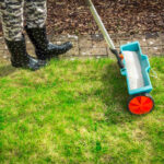 When to Fertilize Your Indiana Lawn