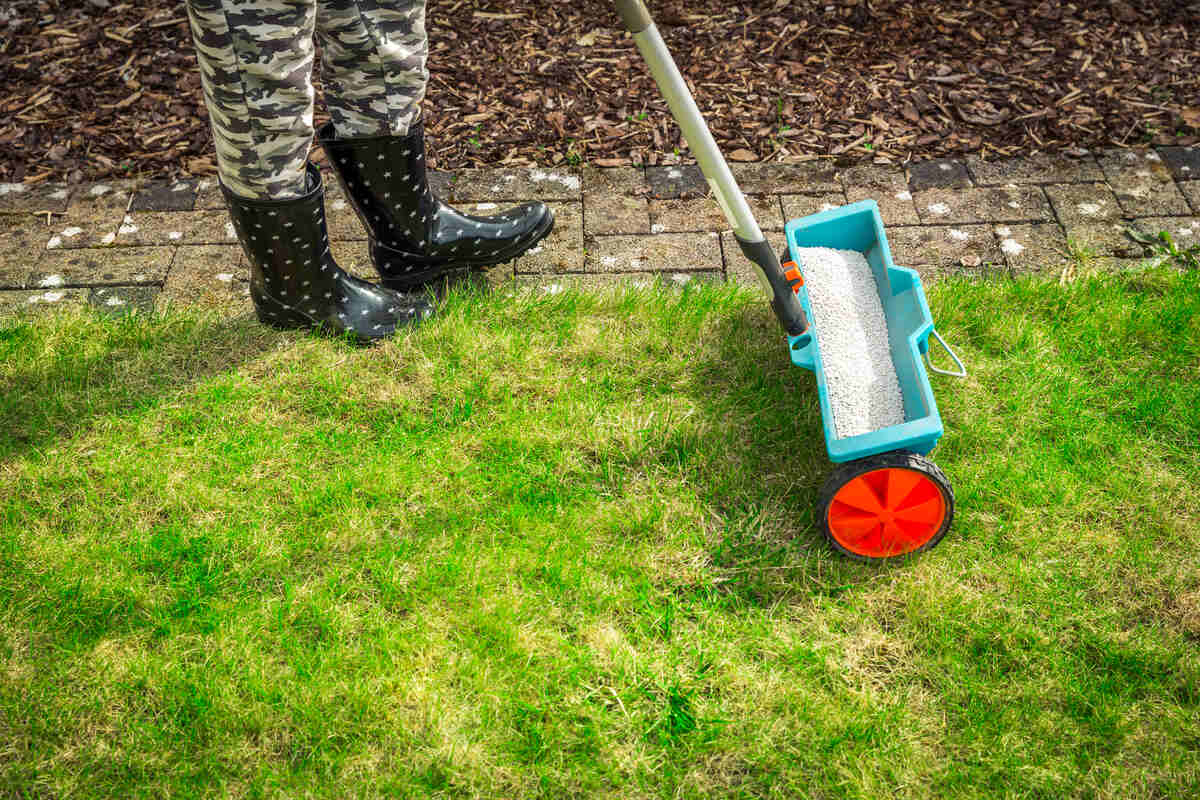 Person spreading fertilizer on a lawn using a spreader