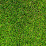 3 Reasons to Use Artificial Turf in Visalia, CA